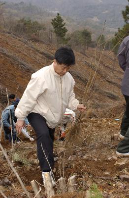 식목일 식수행사