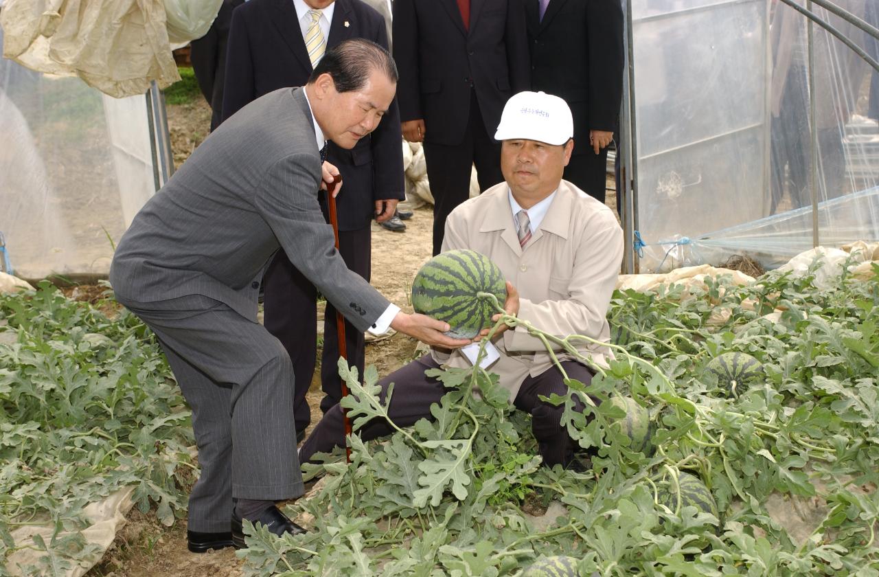 수박 품평회 및 시식회