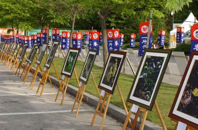 남원 허브축제3