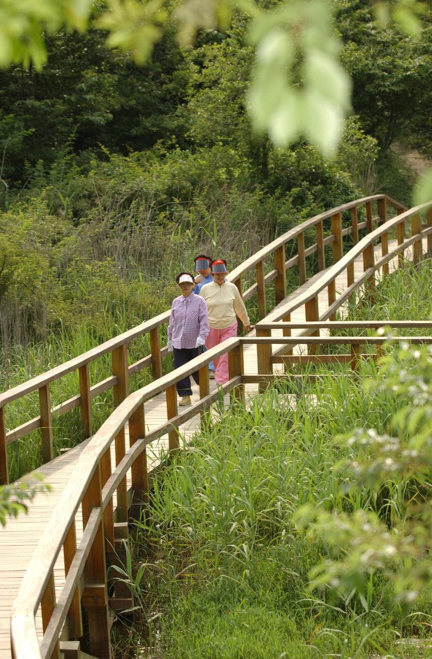 공원산책로