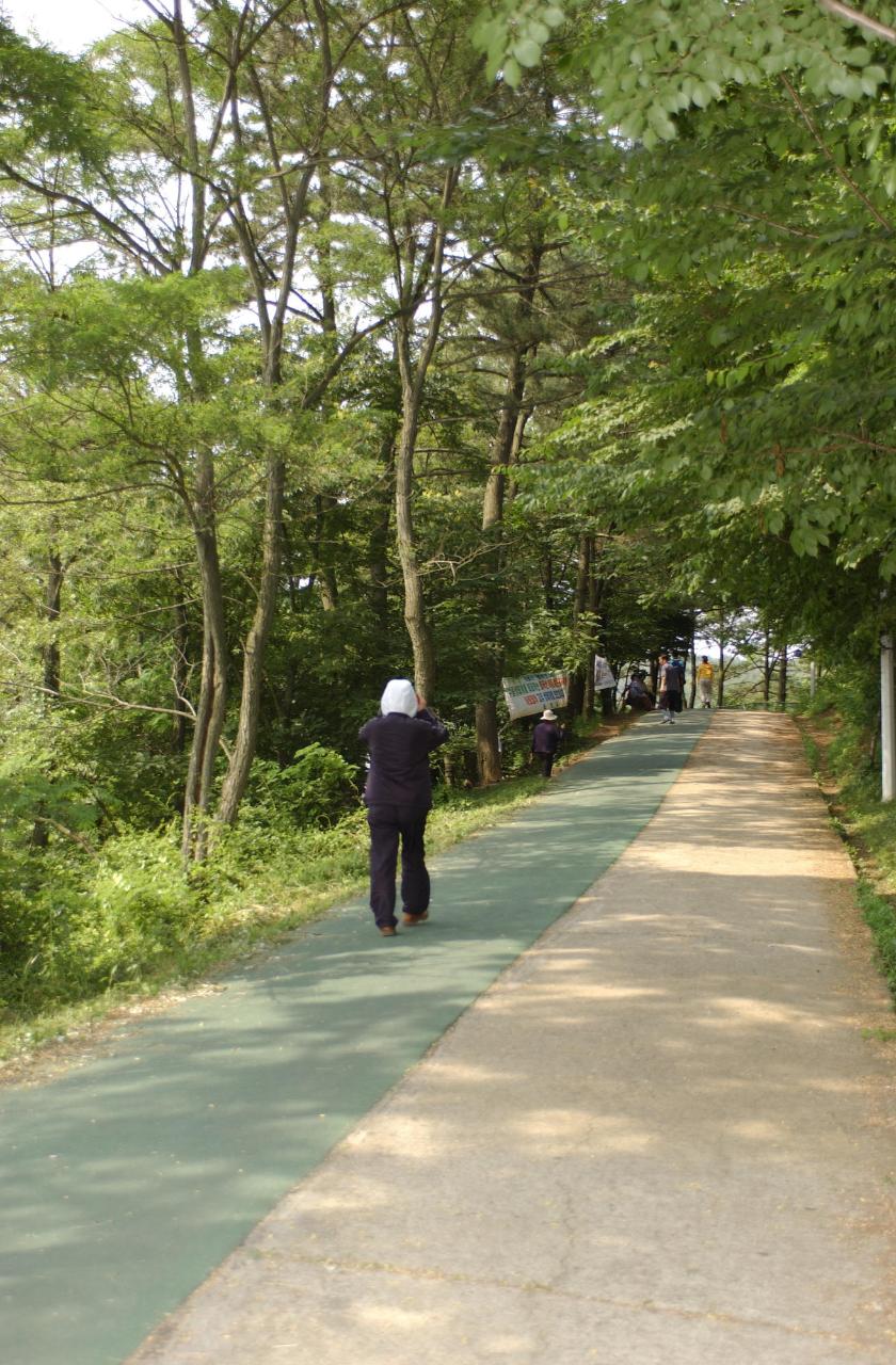 공원산책로