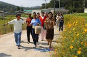 외국인 한국 농촌 문화체험3사진(00008)