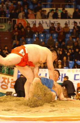 전국씨름왕선발대회1