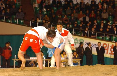 전국씨름왕선발대회2