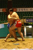 국씨름왕선발대회3사진(00013)