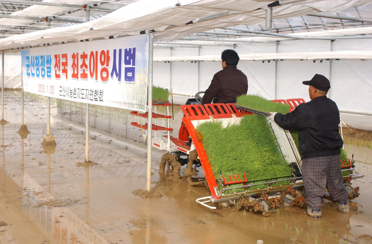 청정쌀 전국최초 모내기1