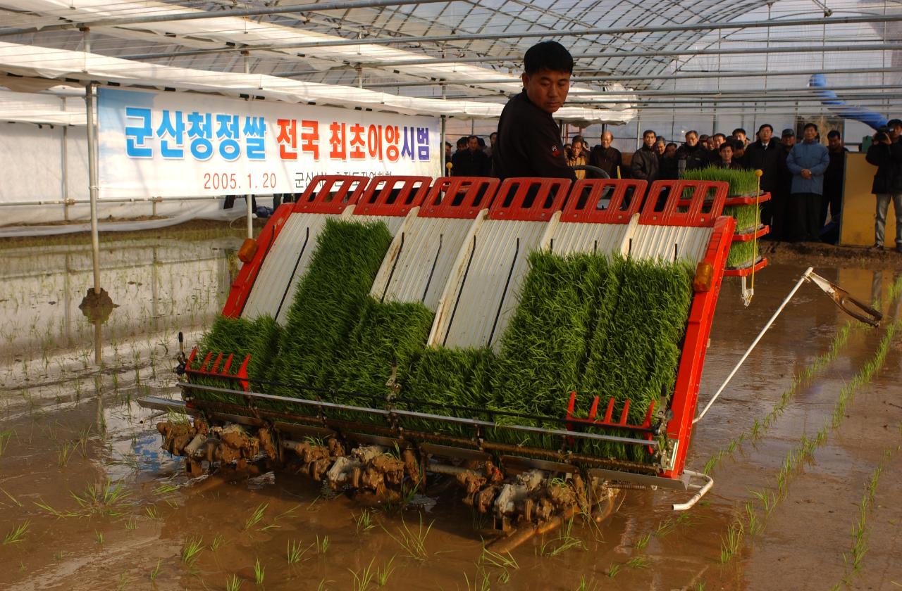 청정쌀 전국최초 모내기1