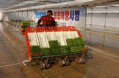 청정쌀 전국최초 모내기1