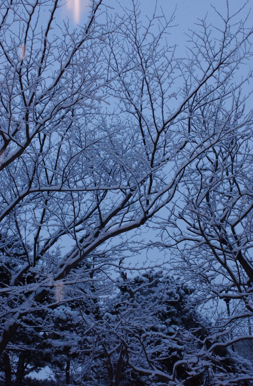 시청 제설작업