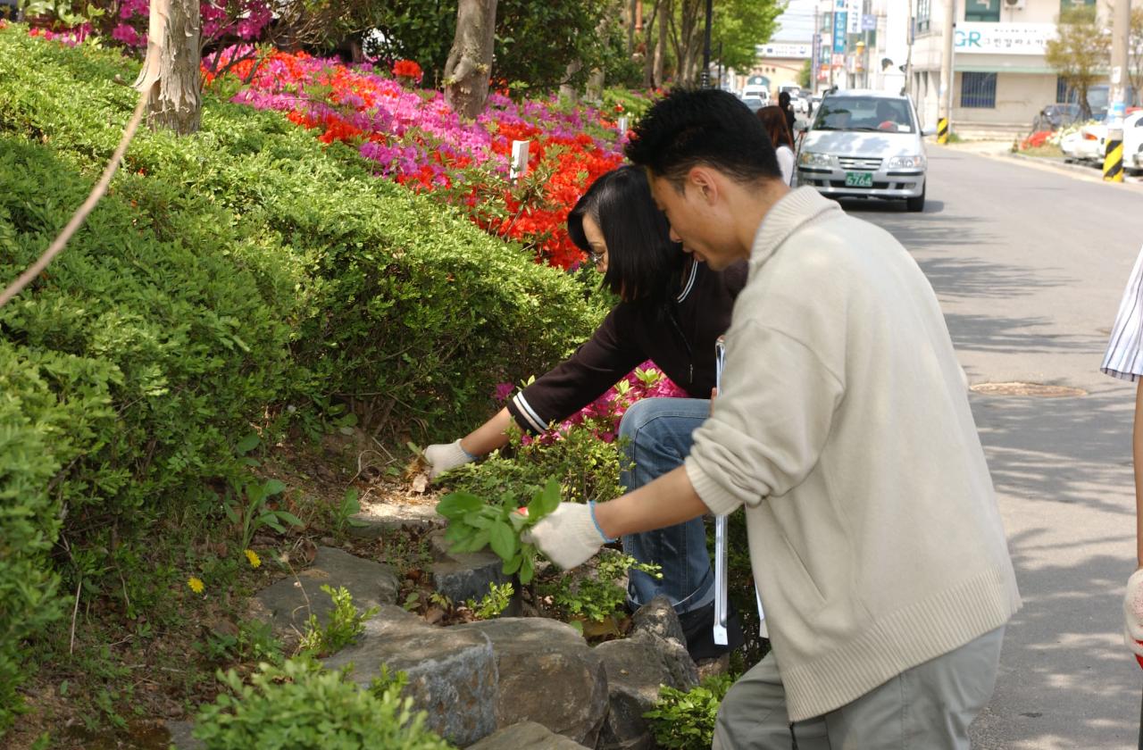 청사주변 청소