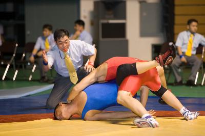 KBS배 전국레스링대회