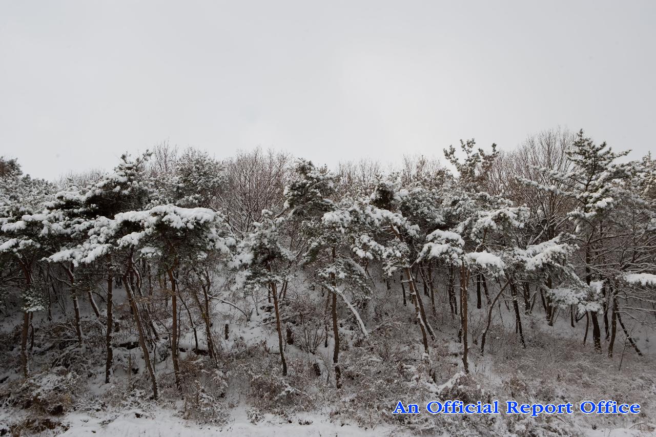 군산의설경