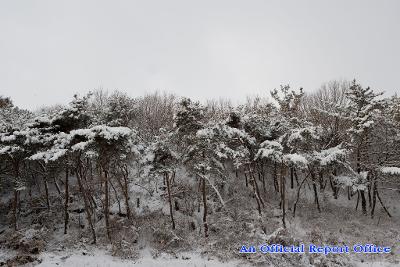 군산의설경