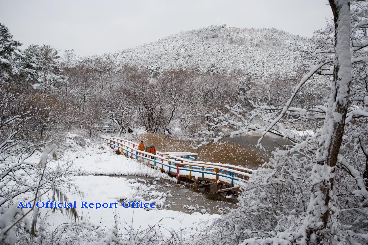 군산의설경