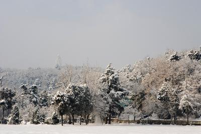 설경 월명공원