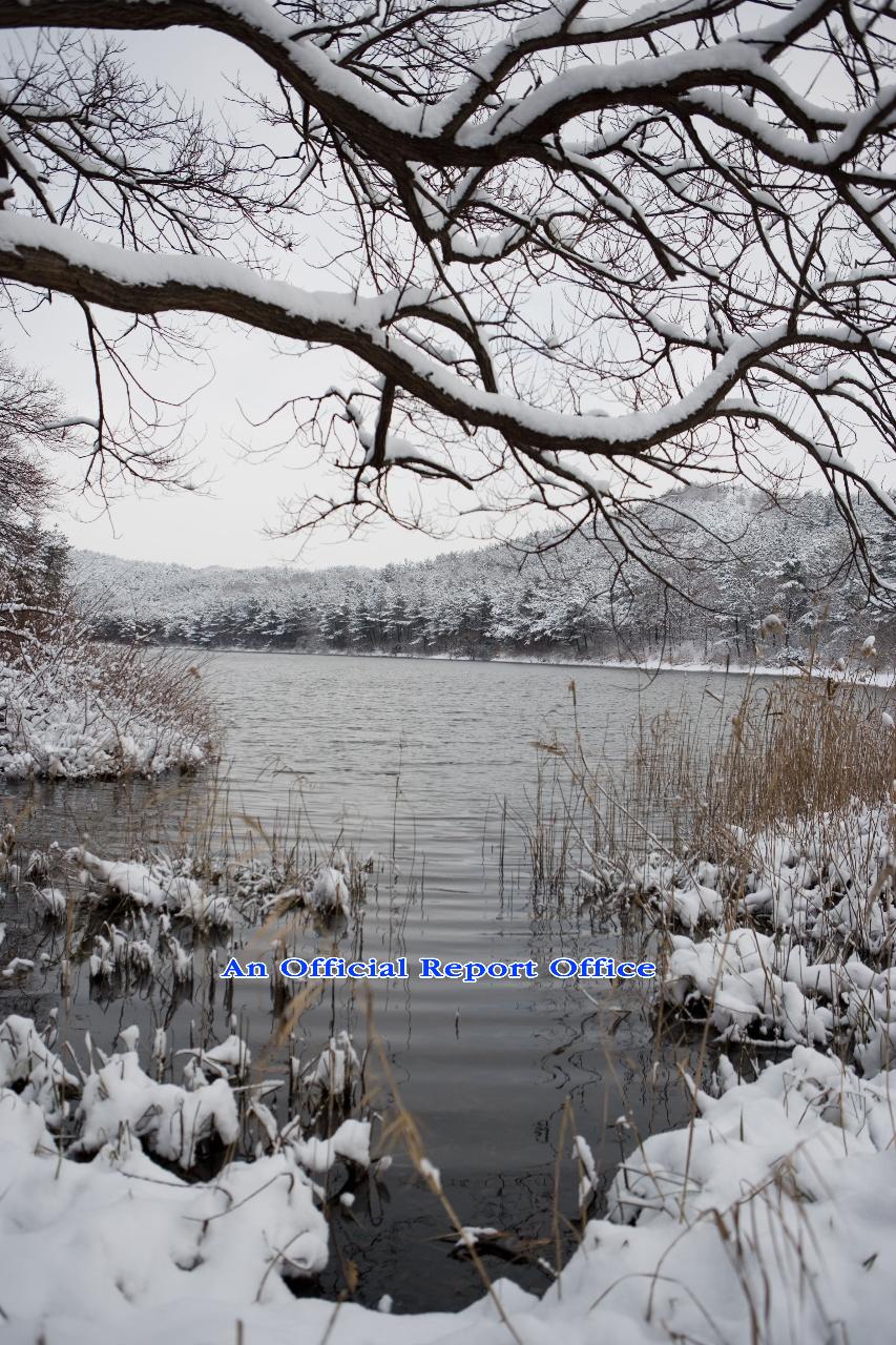 군산의설경