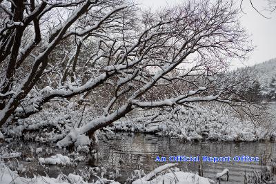 군산의설경