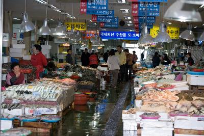 신선한 해산물을 사러오신 시민분들 1