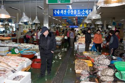 신선한 해산물을 사러오신 시민분들 2