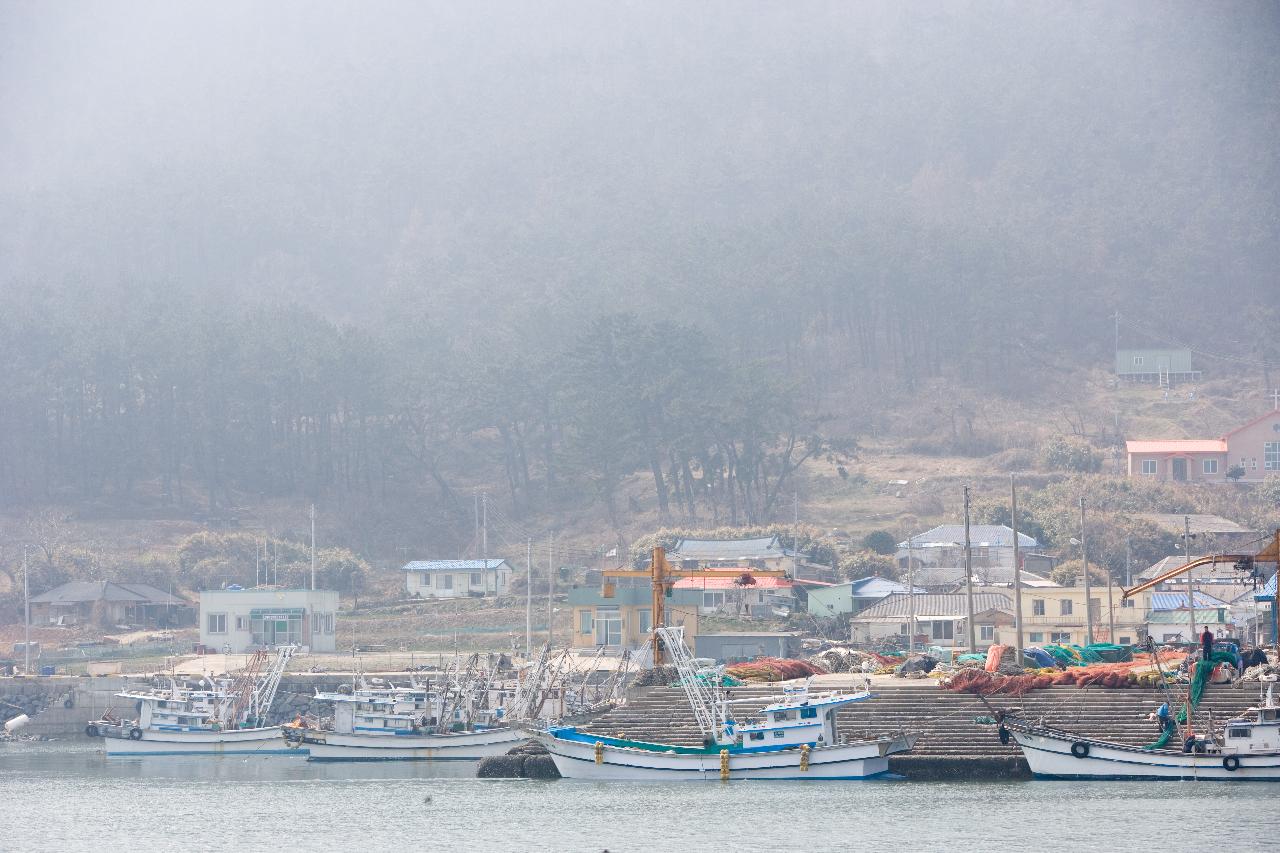 안개가 낀 연도 2