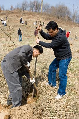 묘목을 심으시는 관계자분들 2