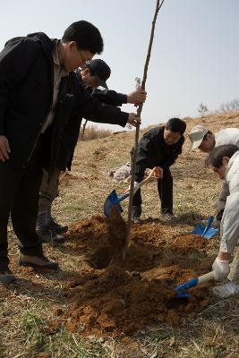 묘목을 심는 관계자분들 5