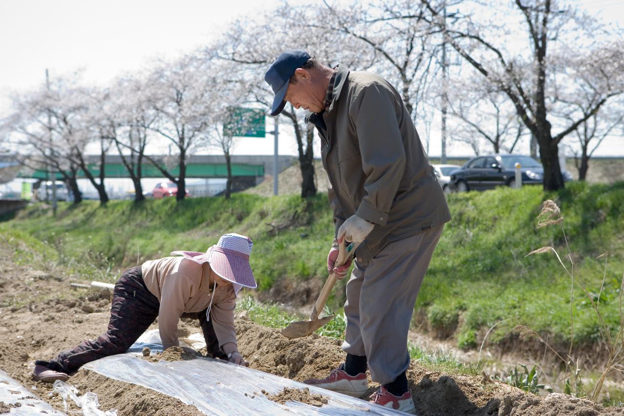 밭에 두렁을 만들고 계신 농부분들 10