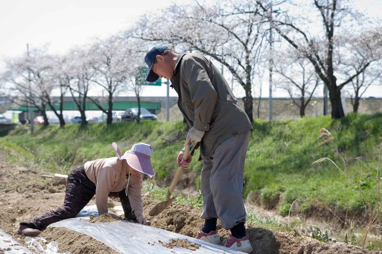 밭에 두렁을 만들고 계신 농부분들 6