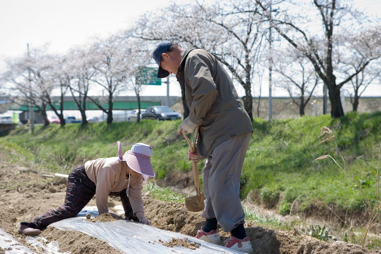 밭에 두렁을 만들고 계신 농부분들 7