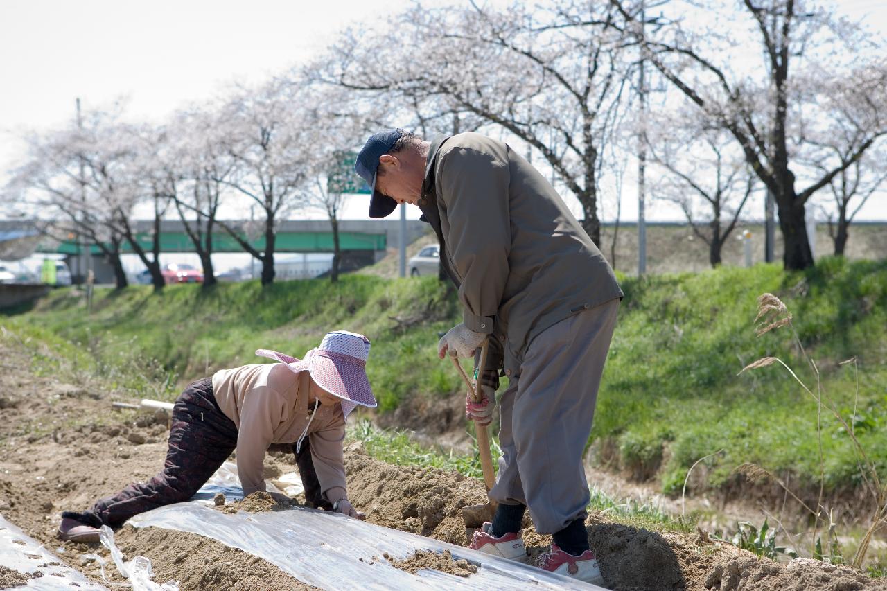 밭에 두렁을 만들고 계신 농부분들 9