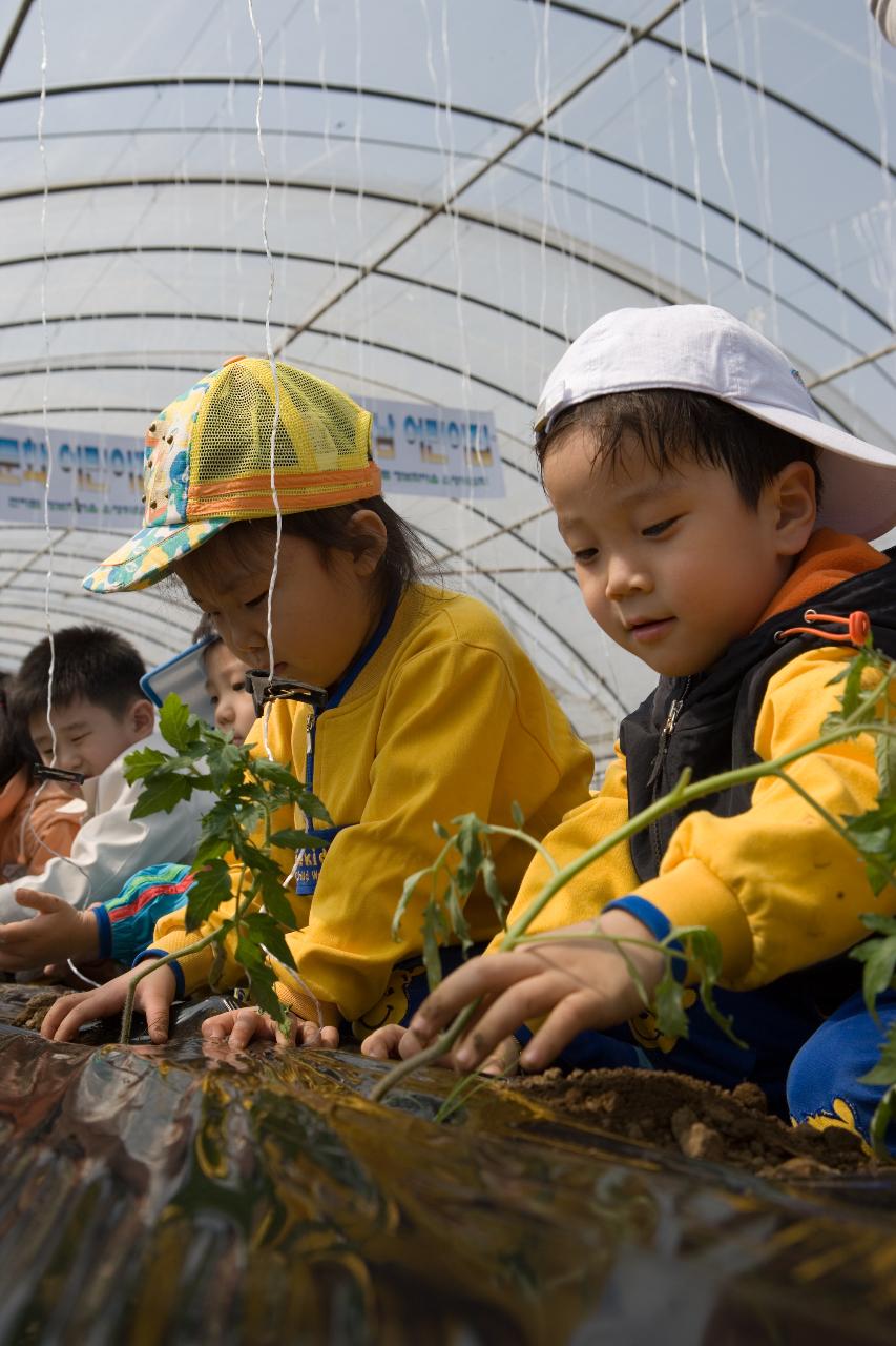 선생님을 쳐다보는 어린이들 12