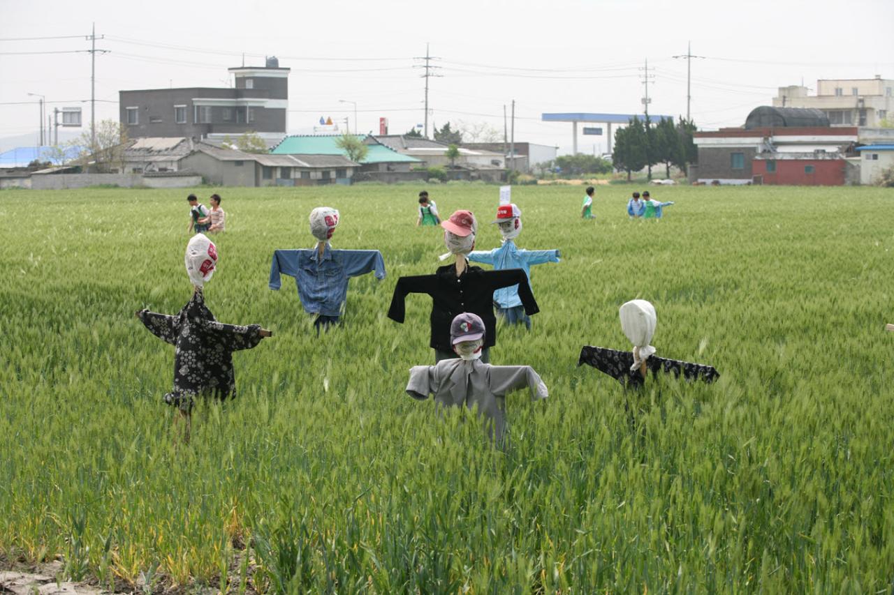 보리밭에 서있는 여러종류의 허수아비