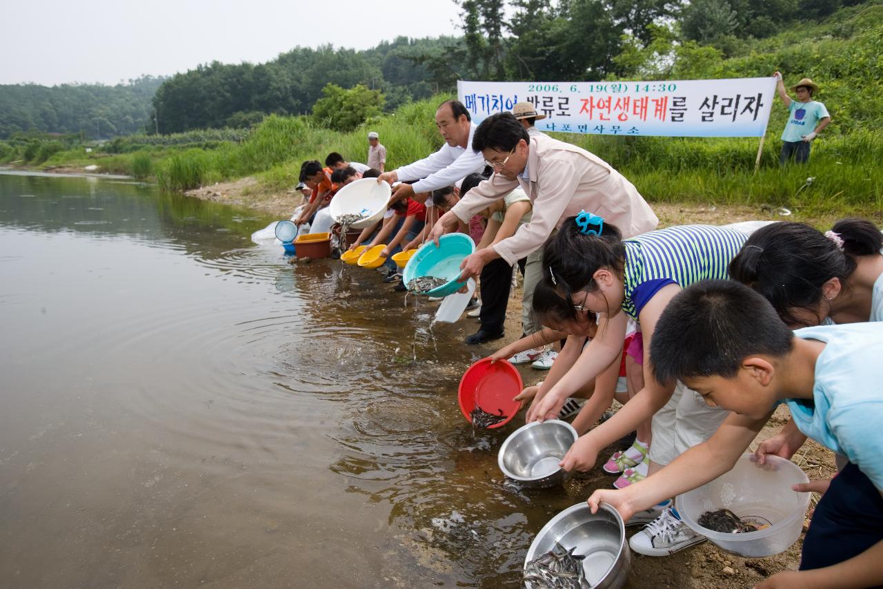 나포면 메기치어방류