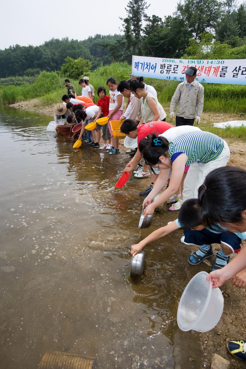 나포면 메기치어방류