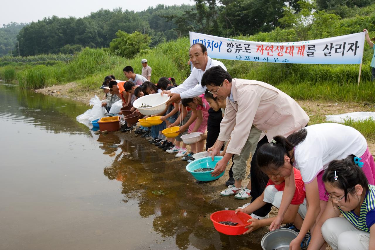 나포면 메기치어방류