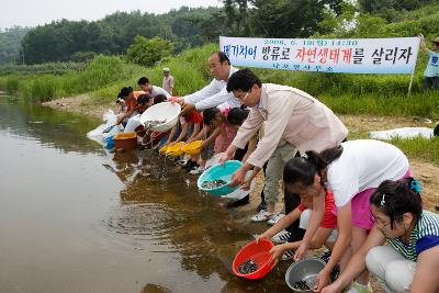 나포면 메기치어방류