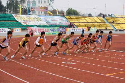 제43회 도민체전1