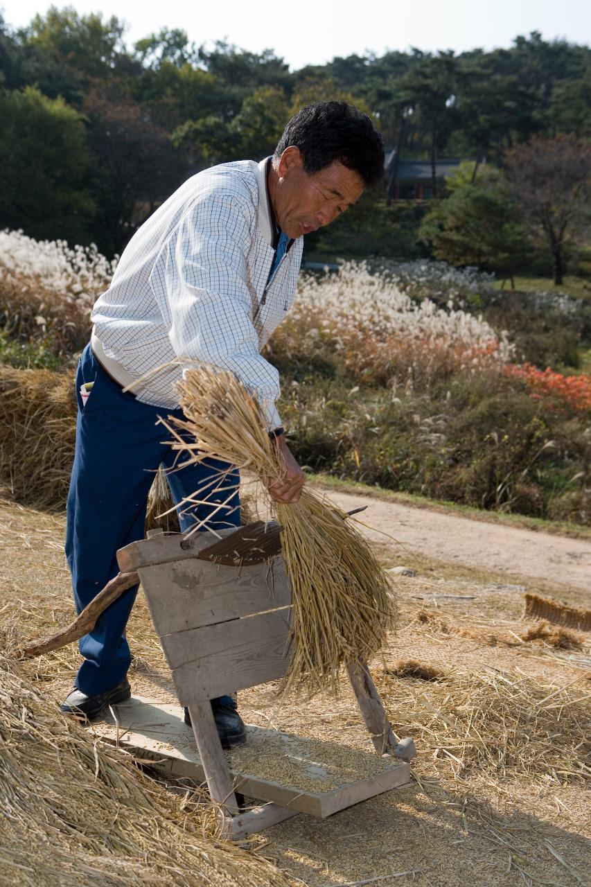 옛 농촌 재현