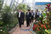 시장님 철새 식물관 방문2사진(00001)