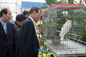 시장님 철새 식물관 방문2사진(00005)