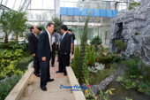 시장님 철새 식물관 방문2사진(00007)