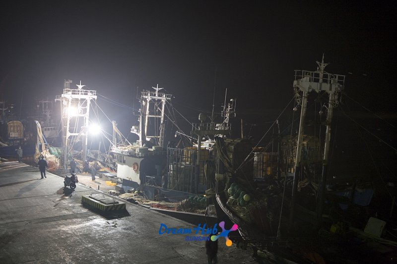 해망동 어판장에 어선들이 늘어서있는 야간모습1