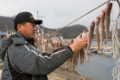 줄에 널려있는 명태를 만져보는 직원의 모습2