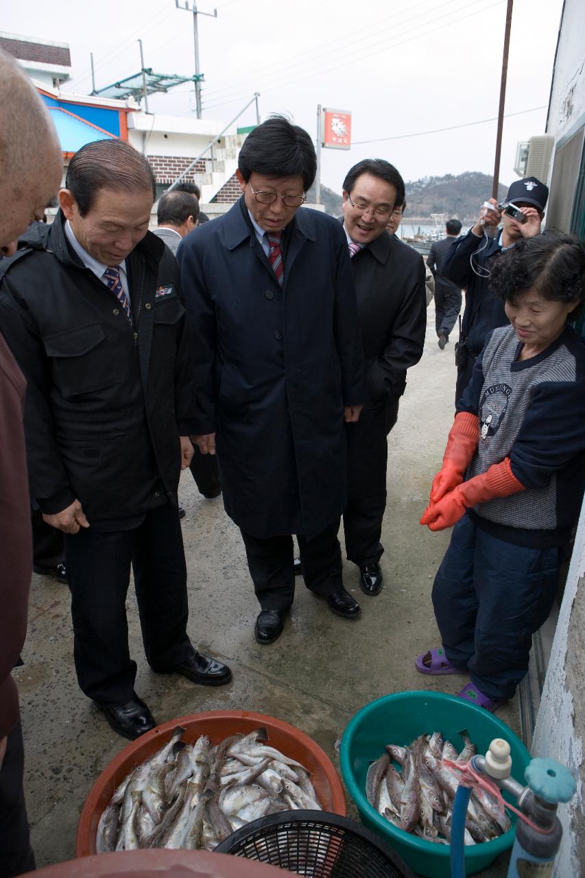 어청도 수산물시장에 오셔서 판매되는 물고기를 들을 둘러보시는 문동신 시장님2