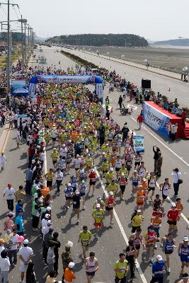 출발하는 군산 새만금 마라톤대회 참가자들7