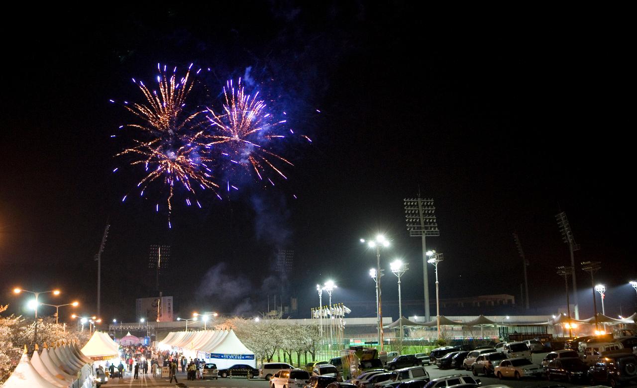 벚꽃축제 행사장 위로 터지는 파랗고 노란빛의 불꽃 모습