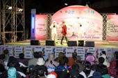 제11회 군산 벚꽃 예술제에서 공연하시는 유명가수의 모습1사진(00010)