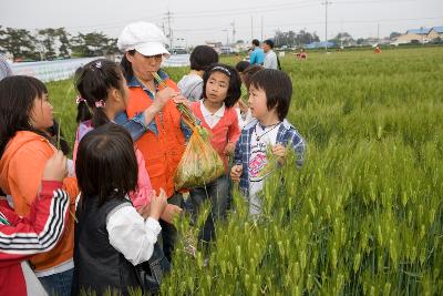 보리줄기로 피리를 부는 어른을 바라보는 어린이들