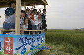 원두막에서 만세를 하며 사진을 찍는 어린이들사진(00016)