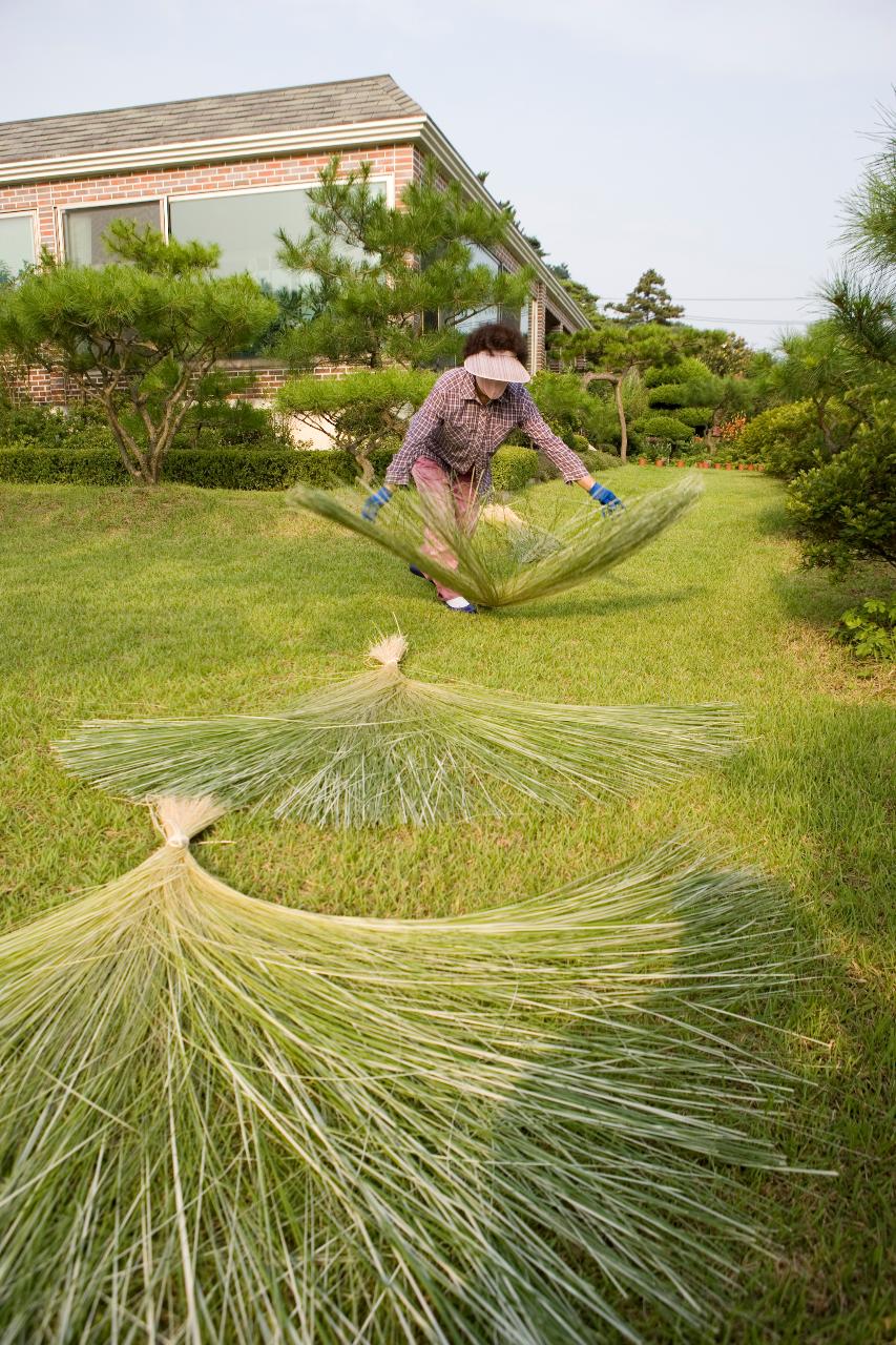 왕골을 펼치시는 아주머니